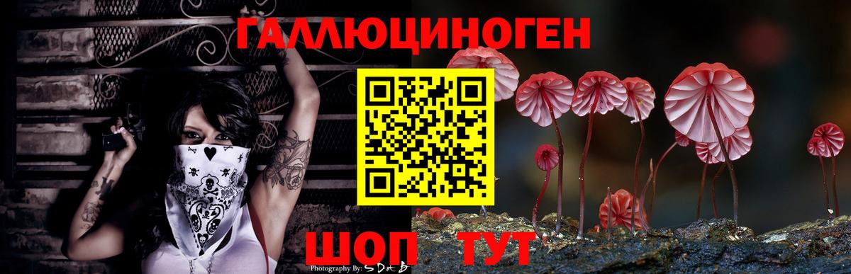 Галлюциногенные грибы мицелий Тула